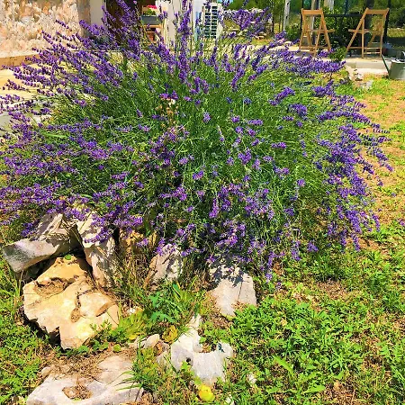 Village Apartman Lozovac
