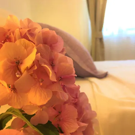 Apartman Village *