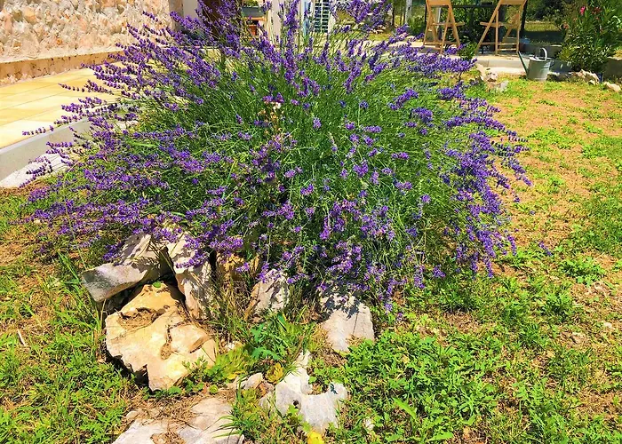 Village Apartman Lozovac